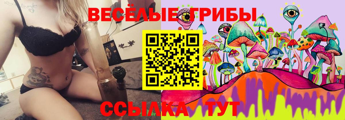 Урюпинск  Галлюциногенные грибы мухоморы  Вход с VPN  Псилоцибиновые грибы Psilocybe 