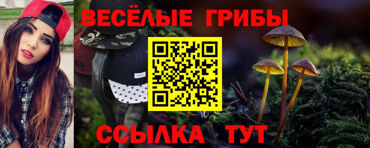 Псилоцибиновые грибы GOLDEN TEACHER Урюпинск